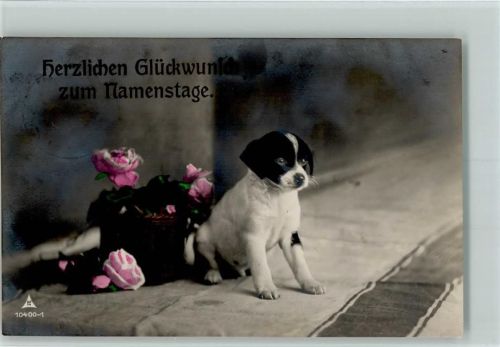 Hundewelpe mit Rosen Glückwunsch