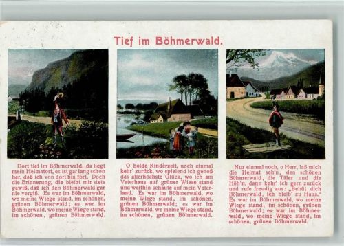 1909 Tief im Böhmerwald AK
