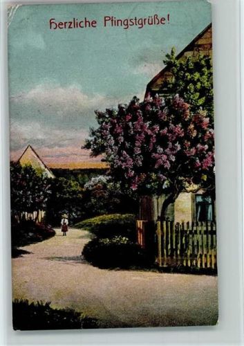 Pfingsten - Fliederbäume in der Dorfstraße AK Flieder 1919