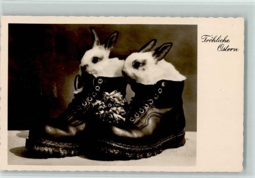 Serie 66524-1 Hasen sitzen in Wanderschuhe - Ostern Amag 1936 Foto AK