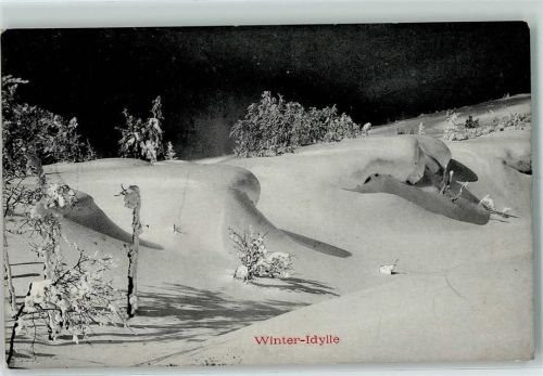 1916 Winter Idylle AK