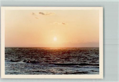 Sonnenuntergang Natur FOTO KEINE AK