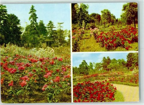 Sangerhausen Rosarium