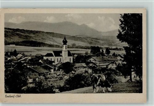 Endorf Ortsansicht Kuh