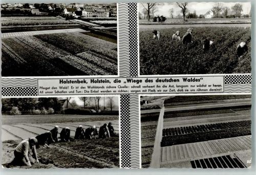 Halstenbek Baumschule