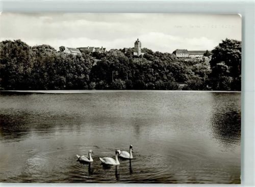 Allstedt Rückseite mit Abschürfungen bzw Kleberesten Schloss Schwäne