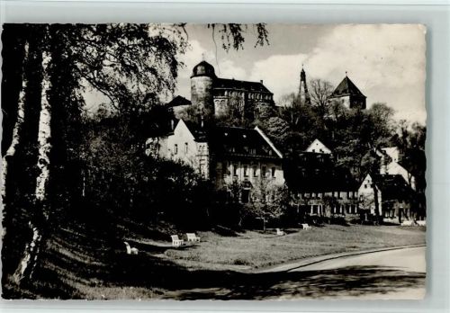 Mylau Blick auf die Burg