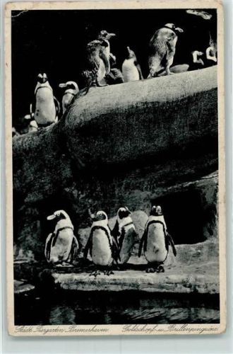 1935 Tiergarten Bremerhaven