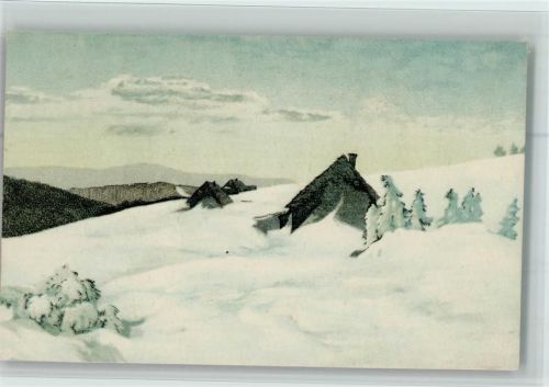 Riesengebirge Bohnwiesbauden Winter Friedrich Iwan