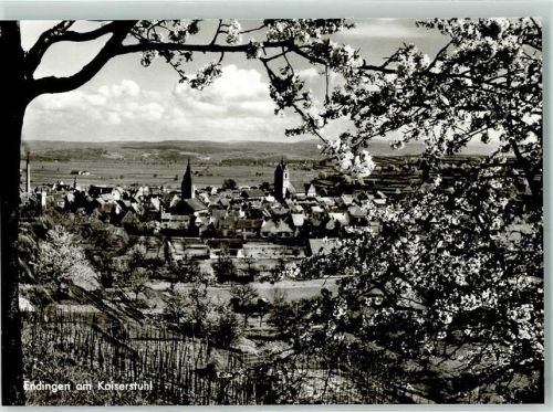 Endingen Rückseite mit Abschürfungen und Kleberesten Kaiserstuhl Baumblüte