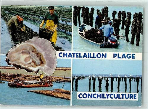 Chatelaillon-Plage Muschelzucht