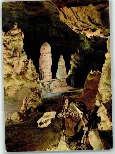 Erpfingen Bärenhöhle Dinosaurier Fossil