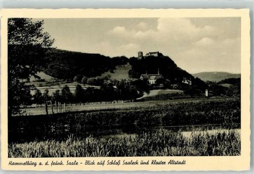 Hammelburg Blick auf Schloß Saaleck und Klsoter Altstadt
