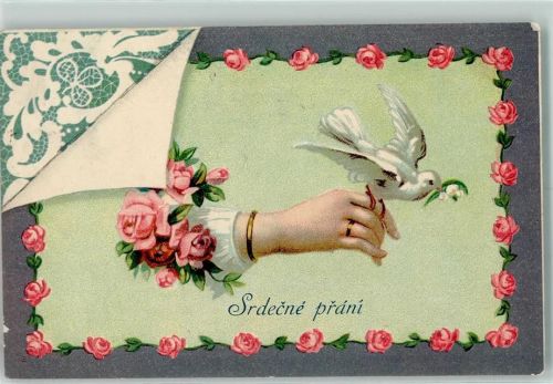 Weisse Taube Schmuckrahmen Rosen