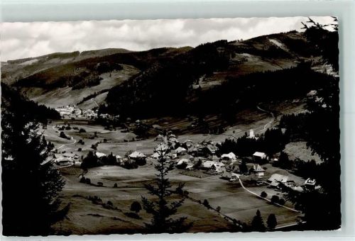 Menzenschwand Rückseite mit Abschürfungen bzw Kleberesten