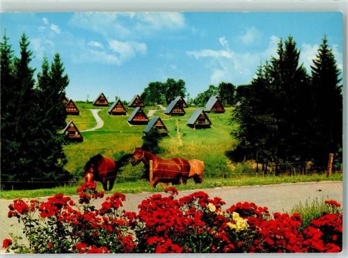 Siegsdorf Ferienpark Vorauf Pferde Rückseite mit Abschürfungen bzw Kleberesten