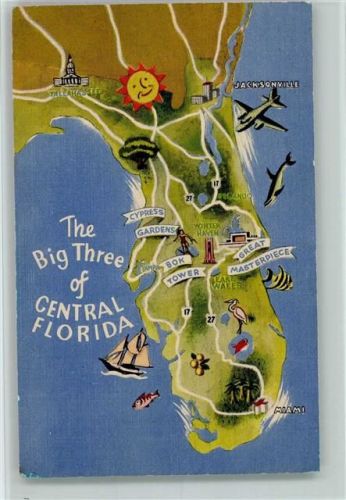 The Big Tree of central Florida AK