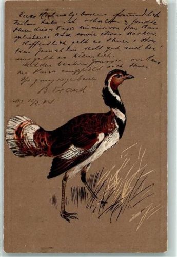 1904 Serie 842 Vogel AK