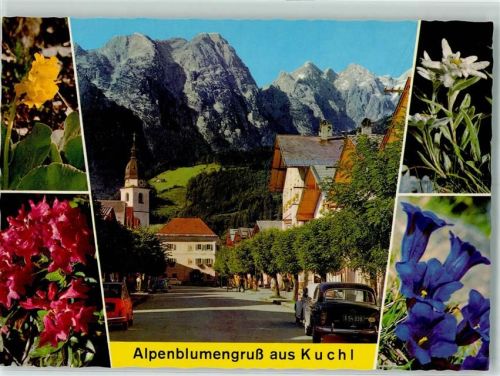 Kuchl Schlüsselblume Weigelie Edelweiss Enzian