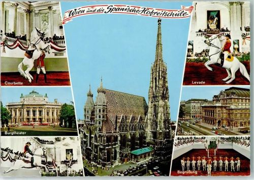Wien Spanische Reitschule Courbette Levade Capriole Begrüßung Burgtheater Oper Stephansdom