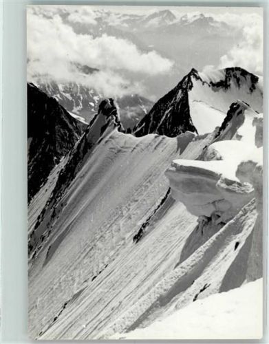 Gran Pilastro Hochfeiler Punta bianca Weiszinth