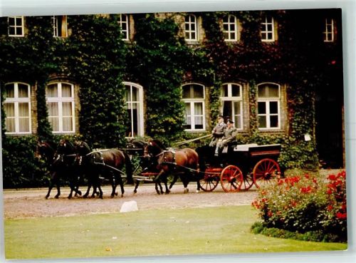 Warendorf Perdekutsche