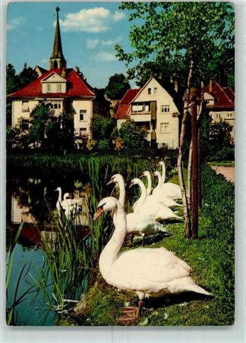Bad Waldsee Schwanenparade Kurpromenade