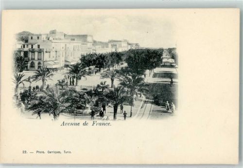 Tunis 1899 Photo Garriques Nr. 22 - Avenue de France AK