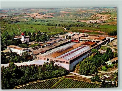 Sant Sadurni d´Anoia Cavas Codorniu