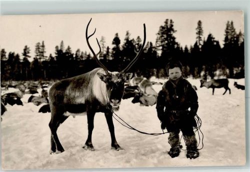 Kiruna Rentier Tracht
