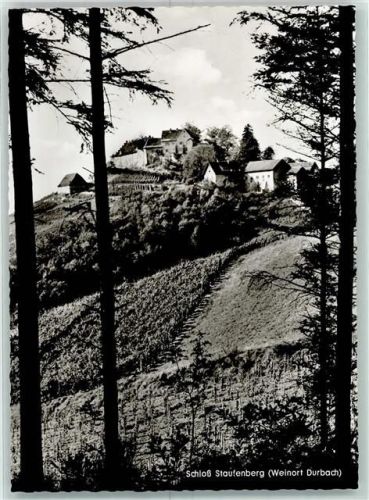Durbach Schloß Staufenberg Weinreben