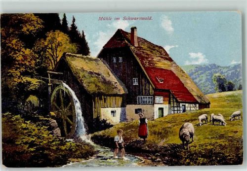 Mühle im Schwarzwald AK