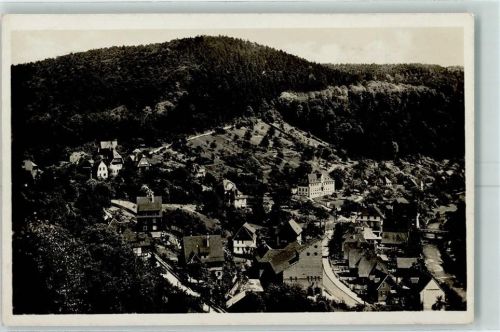 Neuenbürg
