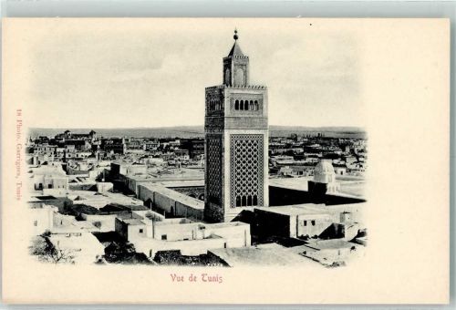 Tunis 1899 Photo Garriques Nr. 18 AK