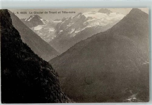 Trient Le Glacier de Trient et Tete noire