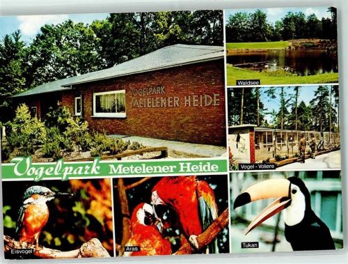 Metelen Rückseite mit Abschürfungen bzw Kleberesten Vogelpark