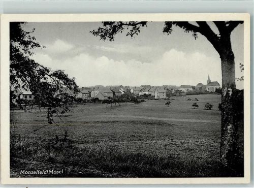Monzelfeld