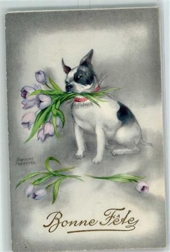Glückwunsch Hund Tulpen Petersen, Hannes