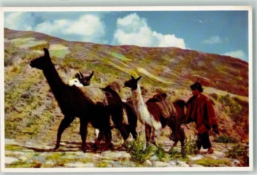 Lima Lama Indigene
