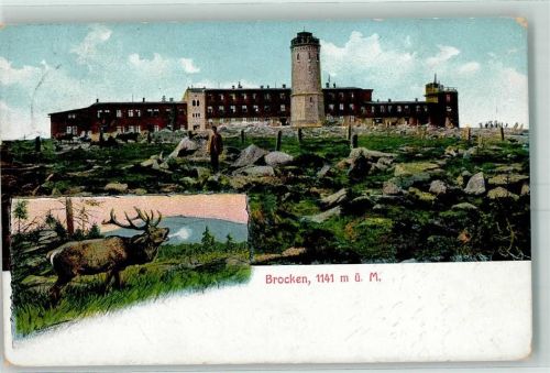 Brocken Hirsch Aussichtsturm