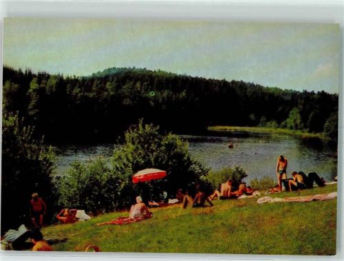 Rothau Rothauer See Bade- und Ligewiese