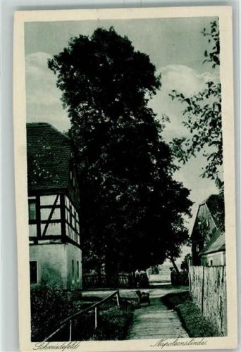 Schmiedefeld Heimatschutz-Postkarten Napoleonslinde