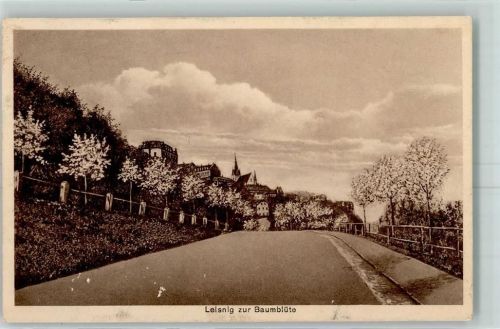Leisnig zur Baumblüte
