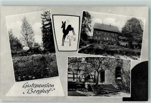 Krübbenberg 1968 Gutspension Berghof Inh. Edith Dorkel Sonnenschirm Reh Fachwerkhaus