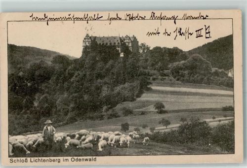 Lichtenberg Schloß Lichtenberg Schäfer Schafherde