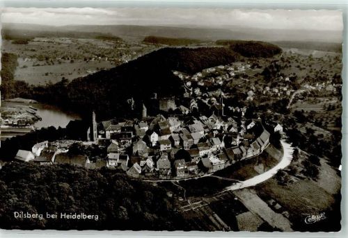 Dilsberg Fliegeraufnahme
