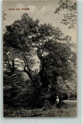 Varel Gruß vom Urwald Ort lt. Verlag
