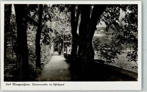 Bad Mergentheim Platanenallee im Schlosspark