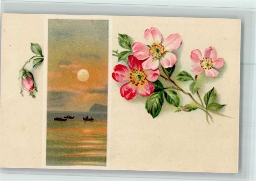 1900 Sonnenuntergang am See - Blüten AK
