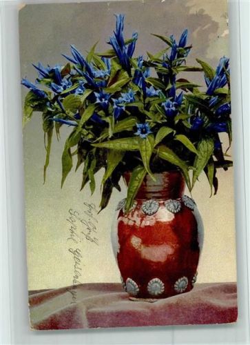 1911 Photochromie Alpenflora - Serie 503 Nr. 724 , Blumenvase AK